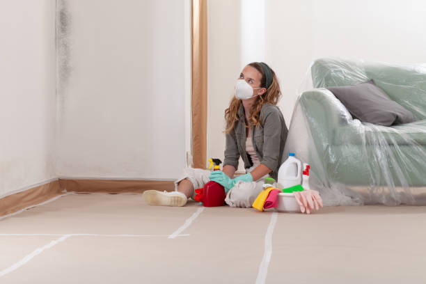 Reliable Basement Mold Removal contractor in Burgess, VA by Cheap Mold Removal